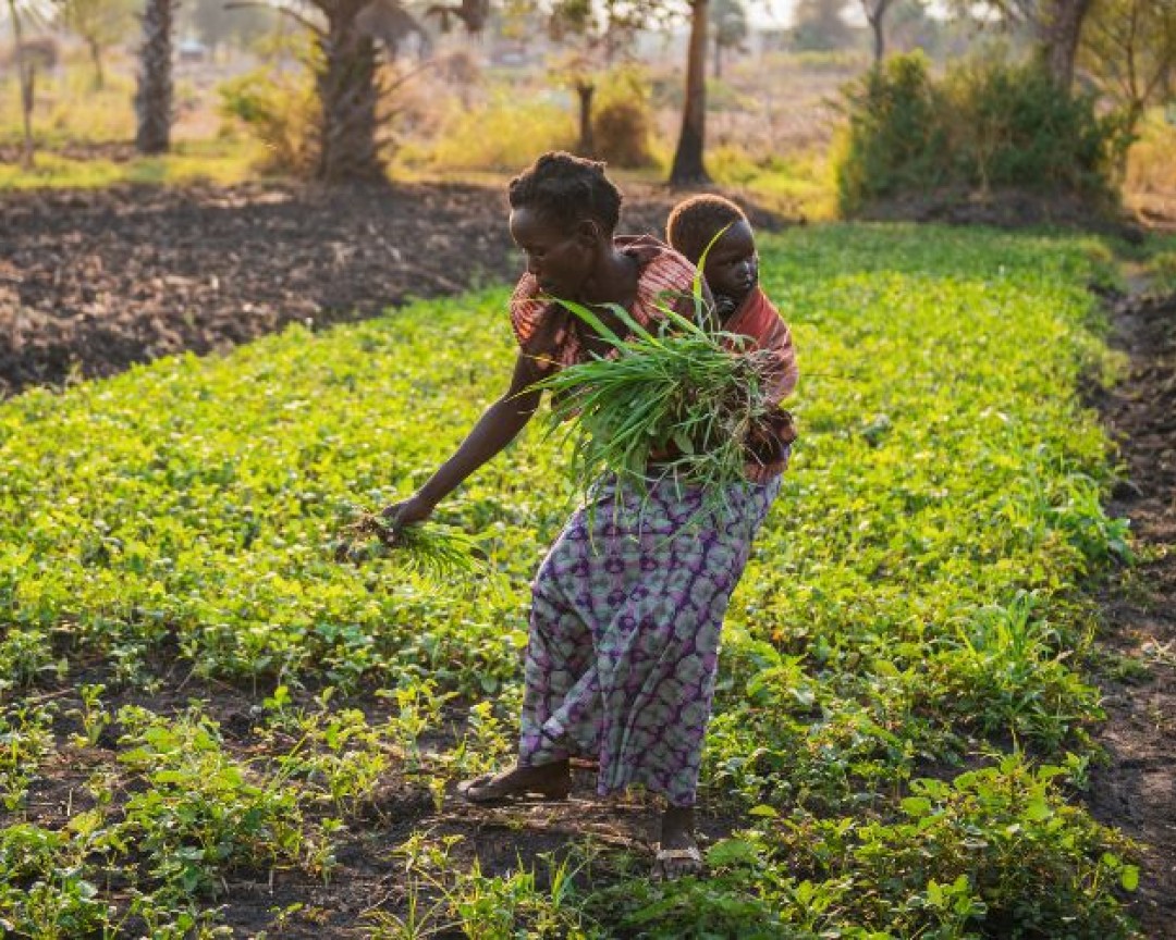 Vort arbejde i Ghana