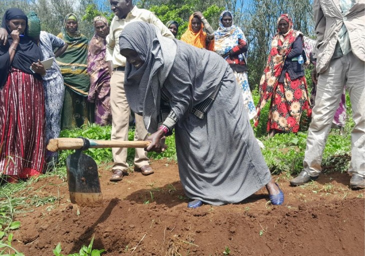 Bekæmpelse af fødevareusikkerhed i Kenya