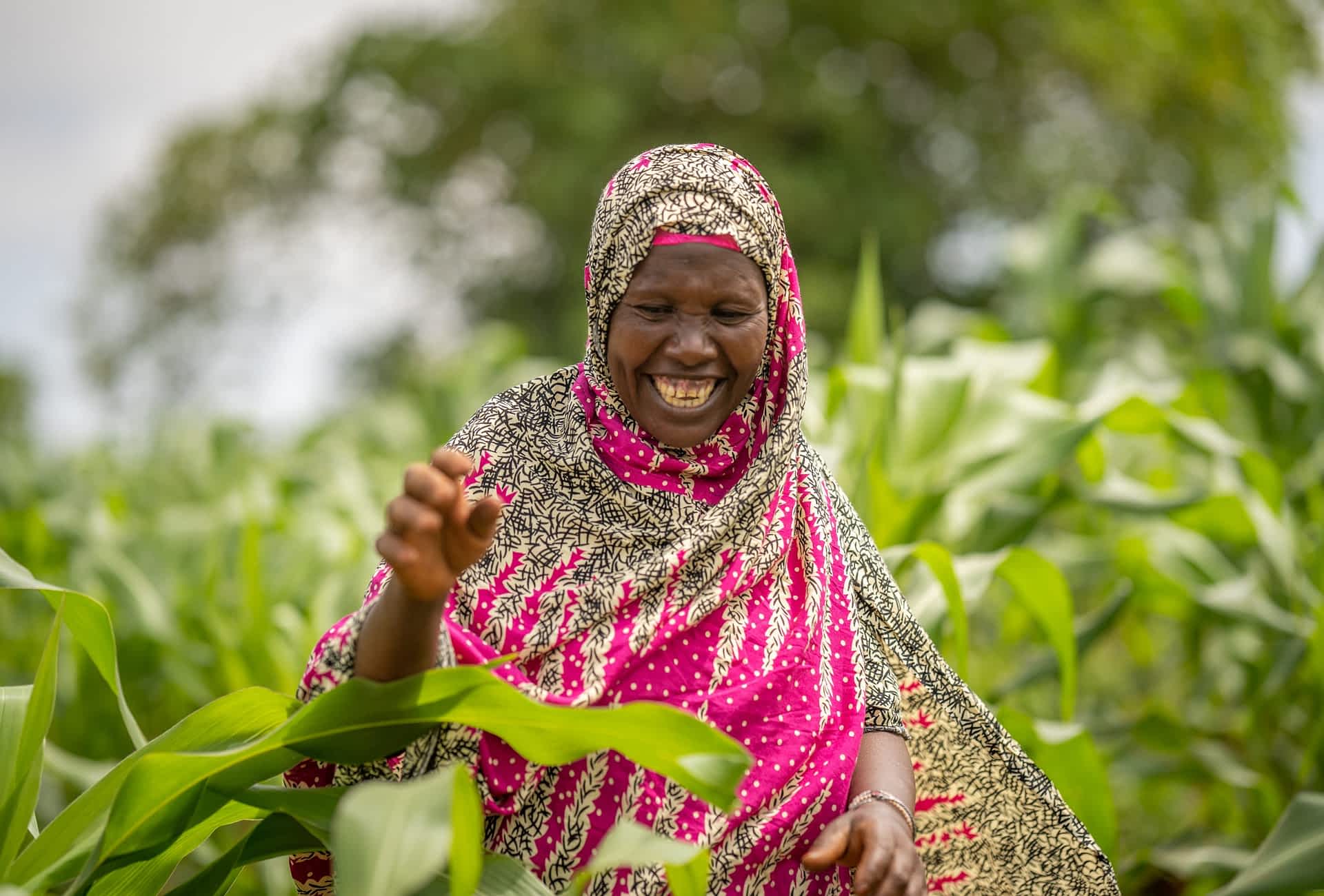 Smilende kvinde, Kenya 2024