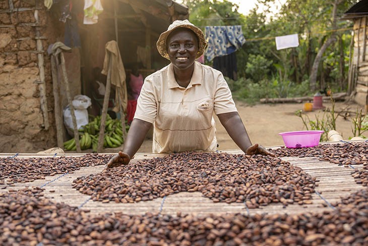 Leticia tørrer sine kakaobønner på et traditionelt tørrebord på sin gård i Ghana.