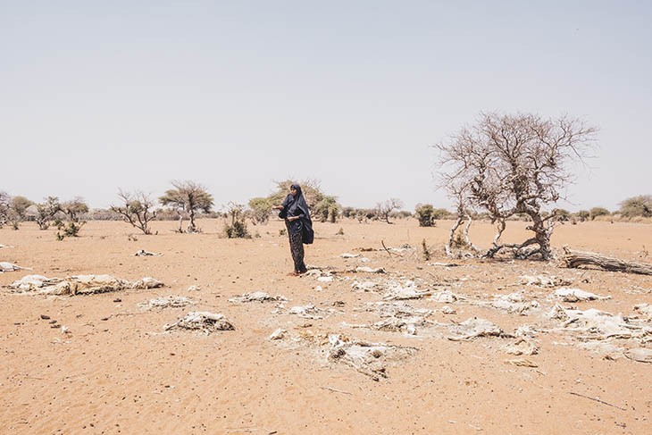 Mareya Ibrahim fra Kenya står blandt kadaverne af sine dyr. Af de halvtreds dyr hun ejede, har hun nu kun syv tilbage.