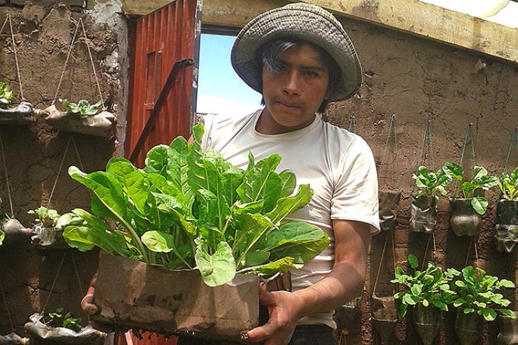 Marco er 16 år og dyrker grøntsager i skolens drivhus.
