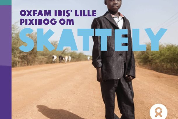 Pixibog skattely forside