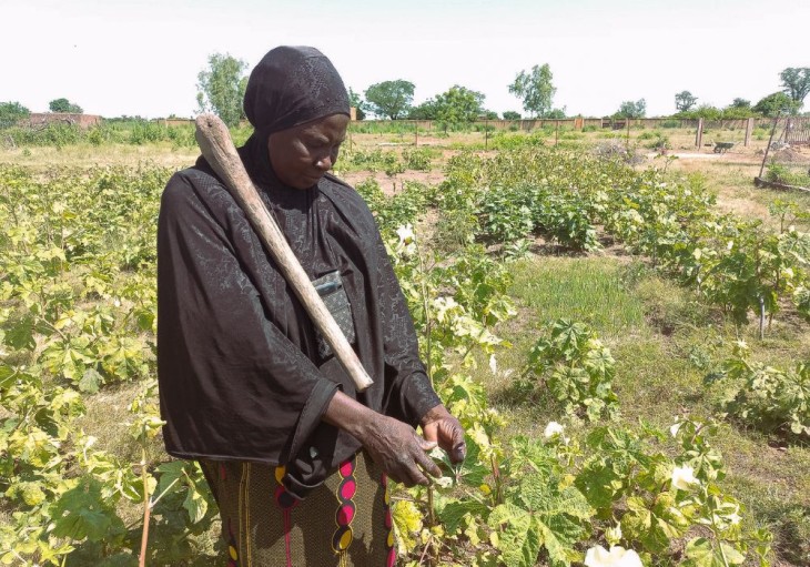 Vandtårn, Mali.
