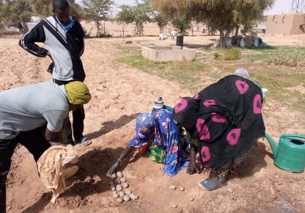 En gruppe kvinder dyrker jorden i Mali