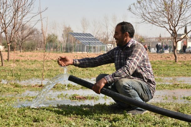 Mand vander planter, Syrien 2021