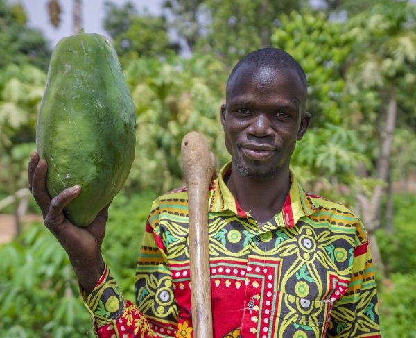 Bandigou Sanogo, Mali