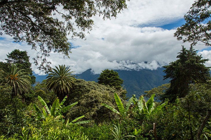 Landskab i Bolivia